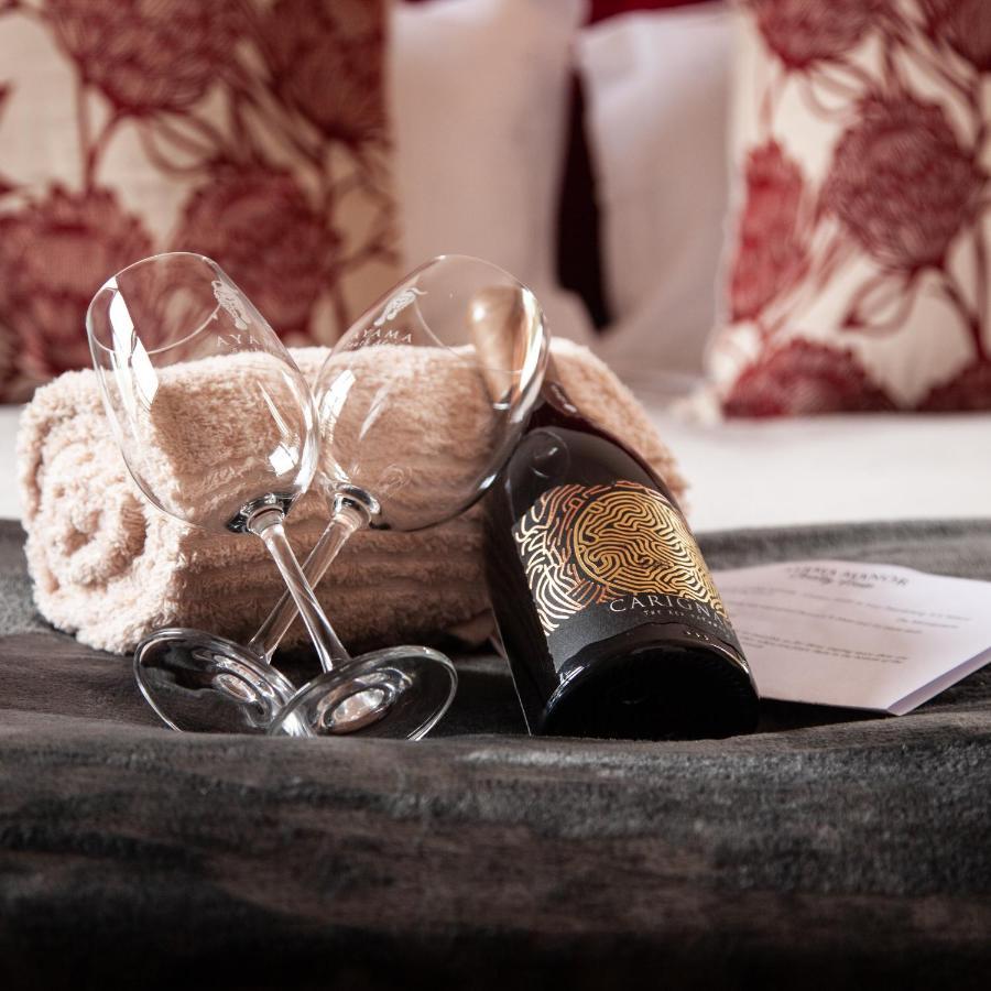 Ayama Wine Farm - Manor House Bed & Breakfast Wellington Exterior foto