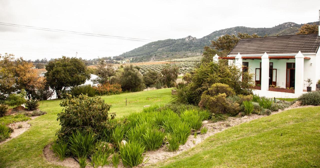 Ayama Wine Farm - Manor House Bed & Breakfast Wellington Exterior foto