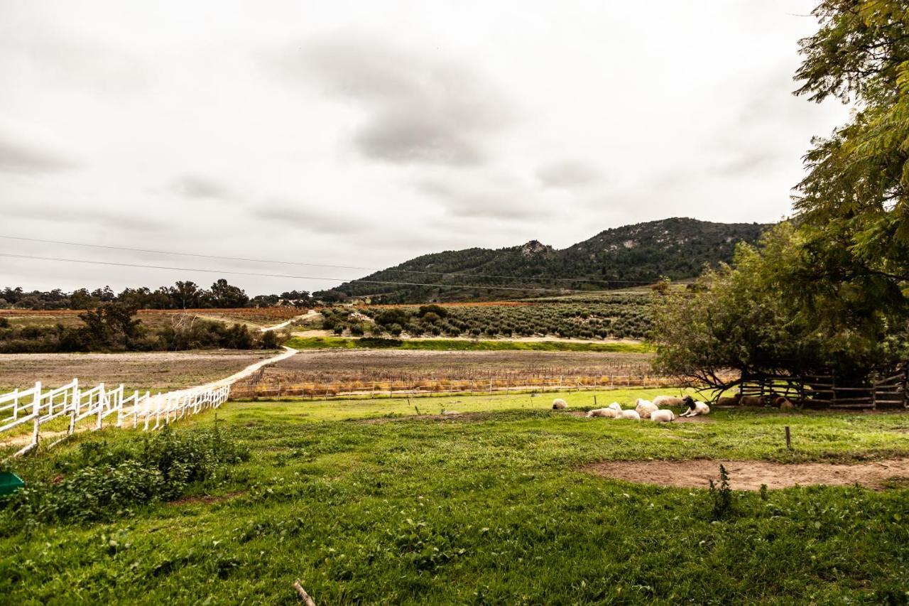 Ayama Wine Farm - Manor House Bed & Breakfast Wellington Exterior foto
