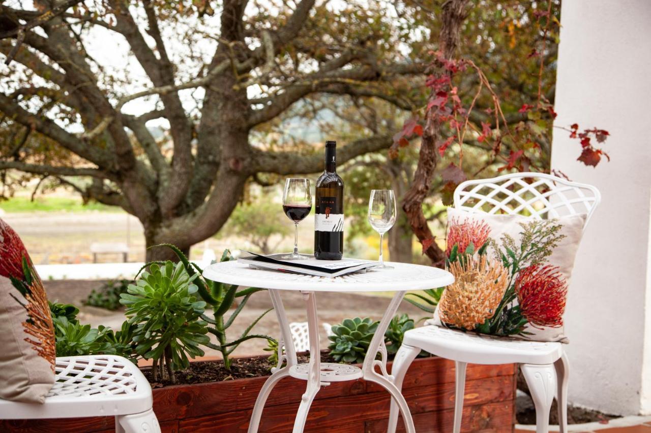 Ayama Wine Farm - Manor House Bed & Breakfast Wellington Exterior foto